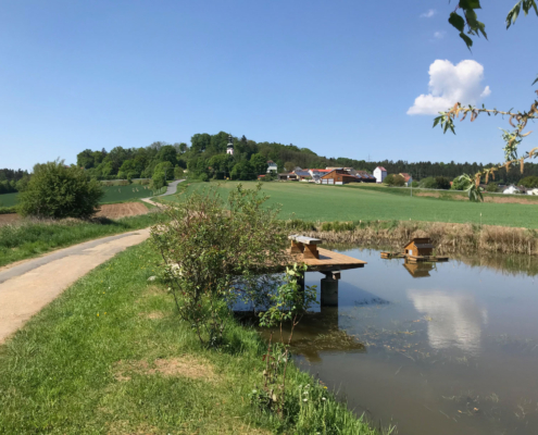 Jackobsweg-Schwandorf-10