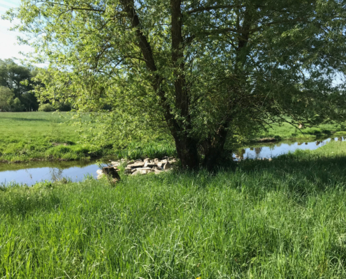 Die Naab bei Schwandorf | © Petra und Harald Graf