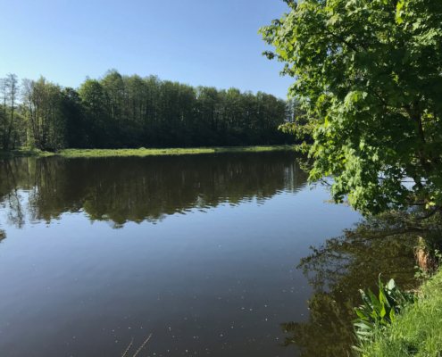 Die Naab bei Schwandorf | © Petra und Harald Graf