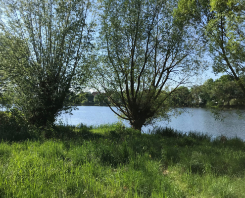 Die Naab bei Schwandorf | © Petra und Harald Graf