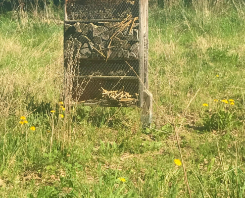 Jackobsweg-Schwandorf-7