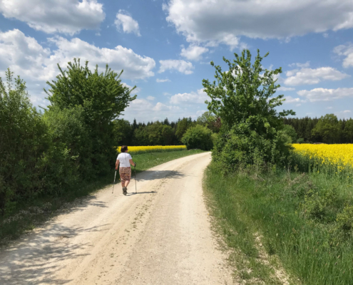 Jackobsweg-Schwandorf-8