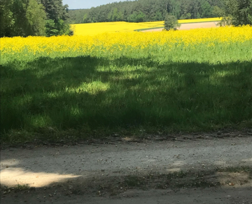 Jackobsweg-Schwandorf-Oberpfalz-2