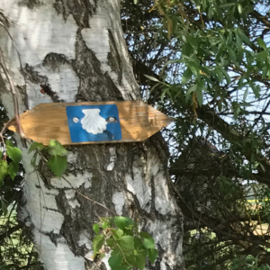 jakobsweg-beitragsbild