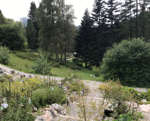 Bepflanzung im Teich mit Unterwasserschaufenster im Botanischer Alpengarten Viote Monte Bondone