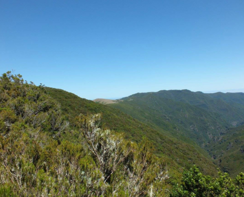 madeira-berge-1 Die grünen Hügel und Berge Madeiras.