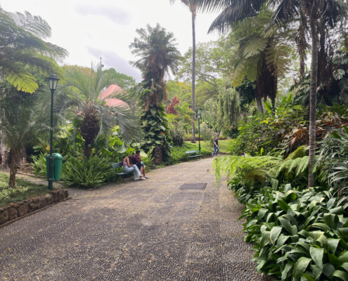 madeira-funchal-offentlicher-park Jardim Municipal do Funchal