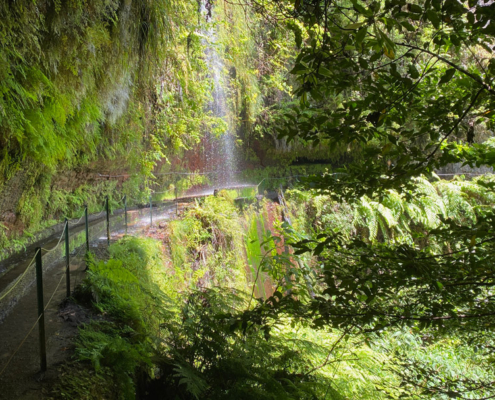 madeira-levada-do-rei-wasserfall Wasserfall auf dem Levada do Rei