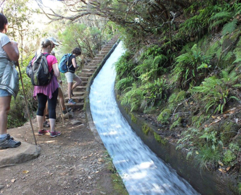 madeira-levada-wandergruppe Zum Wandern sind die Wege entlang der Nevadas optimal