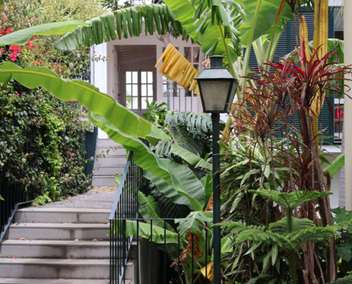 Eingang Vila Vicencia Eingang zur Vila Vicencia in Funchal, Madeira
