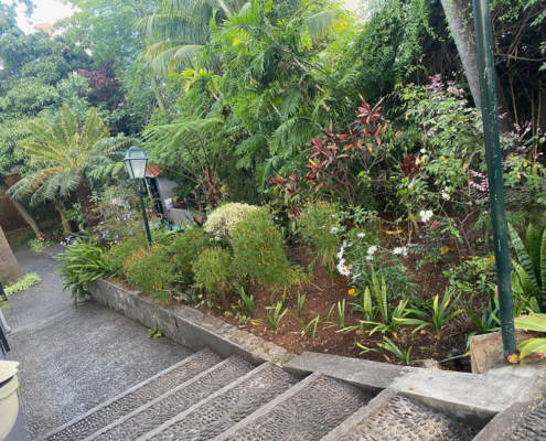 madeira-vila-vicencia-garten-2 Teppenabgang in den untern Teil des wunderbaren Gartens der Vila Vicencia