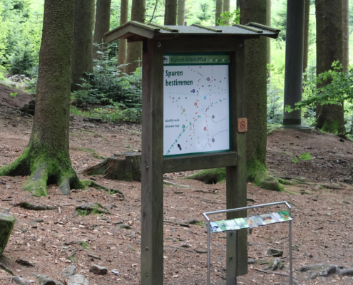 Hier ging es darum, die Spurenbilder verschiedener Waldbewohner im Bayerischen Wald richtig zuzuordnen
