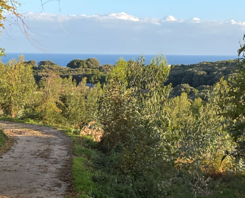 Sonniger Weg. Noch sehen wir das Meer