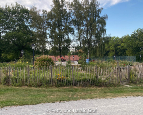 Dieser kleine Wildgarten mit Sitzgelegenheit kommt wie eine kleine botanische Oase daher. Man findet ihn gleich gegenüber dem Hotel. Dieser kleine Wildgarten mit Sitzgelegenheit kommt wie eine kleine botanische Oase daher. Man findet ihn gleich gegenüber dem Hotel.