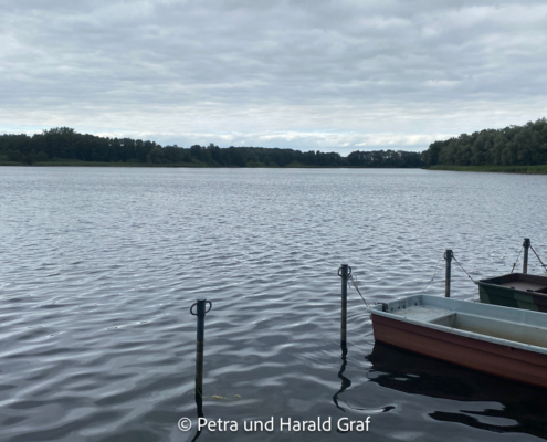 Dann lag der Dambecker See vor uns: stilles Wasser, Wald am gegenüberliegenden Ufer und ein paar kleine Boote. Viel mehr brauchten wir an diesem Abend eigentlich nicht.