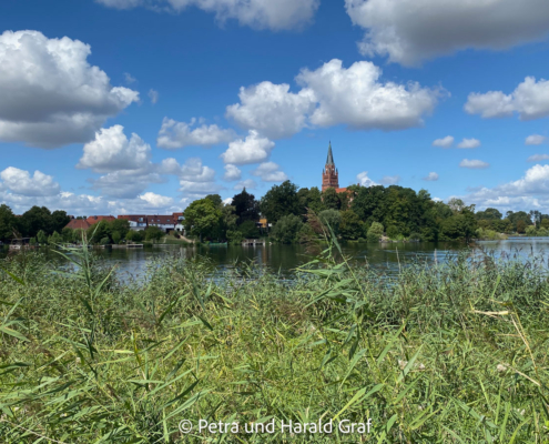 Die Müritz zeigte sich an diesem Tag von ihrer Postkarten-Seite: blaues Wasser, Schilf und ein weiter Blick bis hinüber nach Röbel.