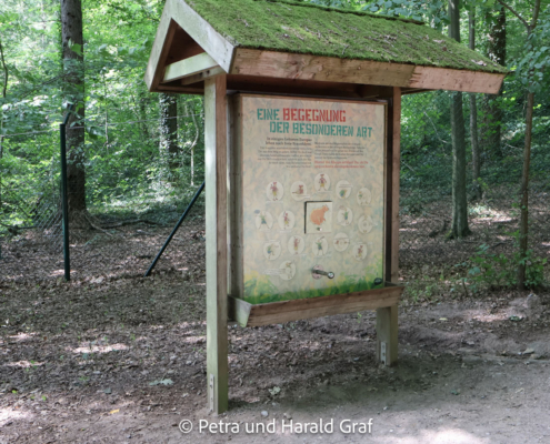 Im ganzen Park gibt es Infotafeln und interaktive Stationen wie diese hier. Man kann sein Wissen testen – und ganz nebenbei noch einiges dazulernen.