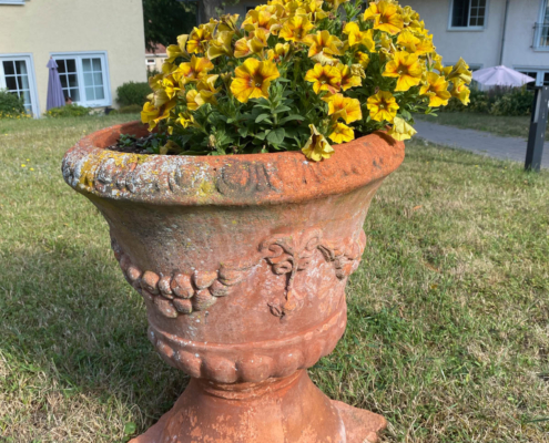 Wir kämen vermutlich nicht auf die Idee, so einen übergroßen Blumentopf samt Inhalt auf einer Wiese zu platzieren – aber hier im Garten der Ferienresidenz macht er sich richtig gut.
