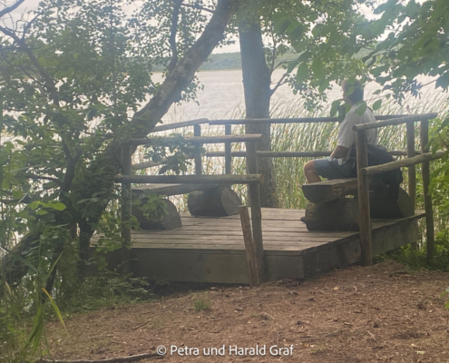 Eine kleine Aussichtsplattform direkt am Wasser lädt zum Sitzen und Beobachten ein. Wir saßen eine ganze Weile dort – nur leider wollte sich außer ein paar Seerosen niemand zeigen.