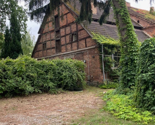 Das halb von Efeu überwucherte alte Gebäude hatte es uns besonders angetan. Ein bisschen verwunschen sah es schon aus – eigentlich fehlte nur noch Rapunzel am Fenster.