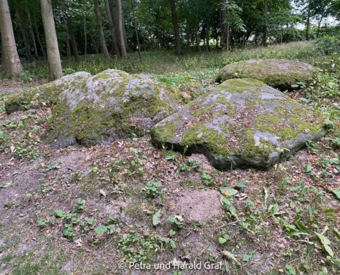 Unter den Bäumen entdeckten wir schließlich die großen, moosbewachsenen Findlinge eines ehemaligen Großsteingrabes. Viel ist davon heute nicht mehr erhalten – aber die Steine erinnern noch immer daran, wie lange Menschen diese Landschaft schon besiedeln.