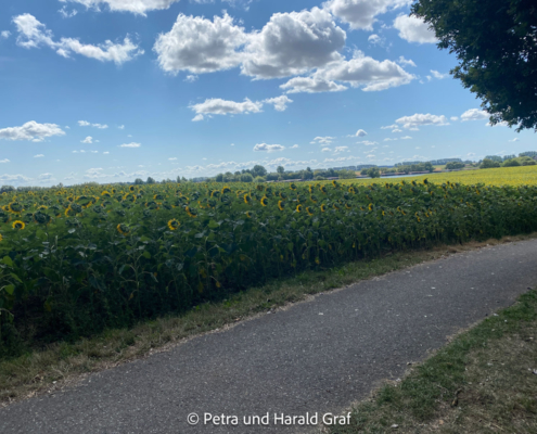Zwischendurch wurde es ländlicher: Felder, viel Himmel und ein Radweg, der zunächst ganz harmlos aussah.